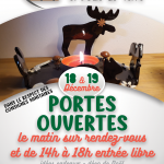 affiche portes ouvertes A4 noel2021